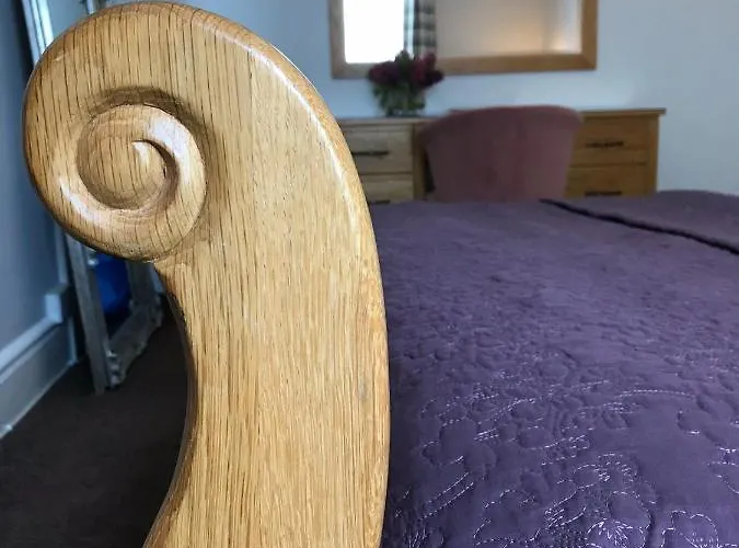 伊利莎白酒店 3*