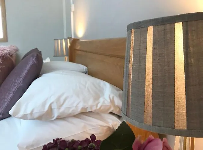 伊利莎白酒店 3*